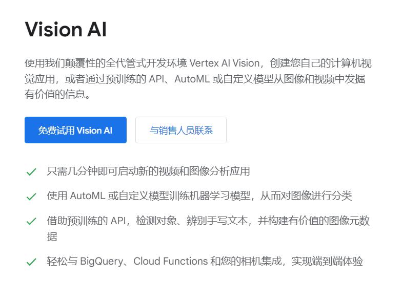 Vision AI