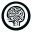 Brainspire