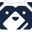 Code Raccoon